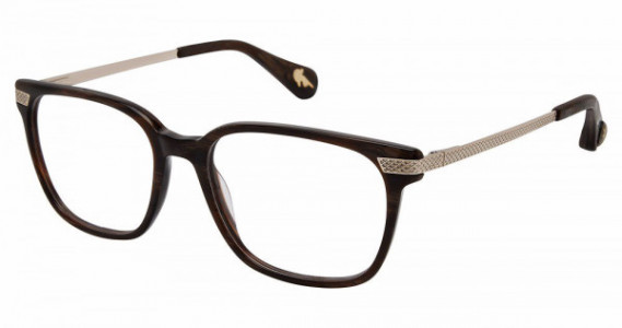 Robert Graham ROARK Eyeglasses, brown