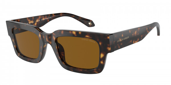 Giorgio Armani AR8184U Sunglasses, 612433 HAVANA BROWN (TORTOISE)