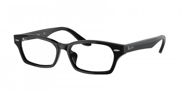 Ray-Ban Optical RX5344D Eyeglasses, 2000 BLACK