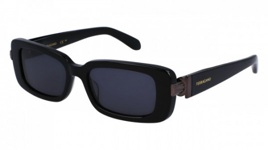 Ferragamo SF1105S Sunglasses