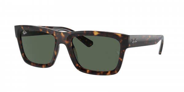Ray-Ban RB4396 WARREN Sunglasses