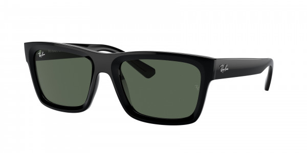Ray-Ban RB4396 WARREN Sunglasses, 667771 WARREN BLACK DARK GREEN (BLACK)