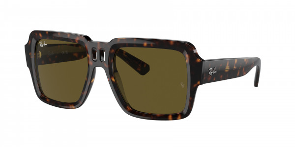 Ray-Ban RB4408 MAGELLAN Sunglasses