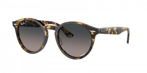 Ray-Ban RB7680S LARRY Sunglasses