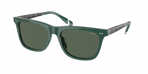 Polo PH4205U Sunglasses, 614171 SHINY GREEN GREEN (GREEN)