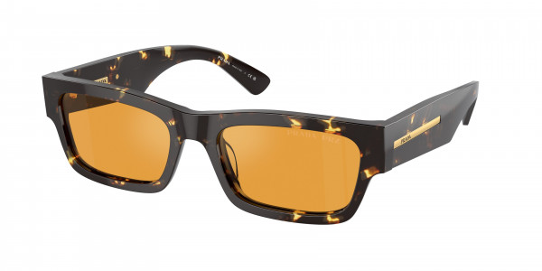 Prada PR A03SF Sunglasses, 16O20C HAVANA BLACK/YELLOW YELLOW POL (BROWN)