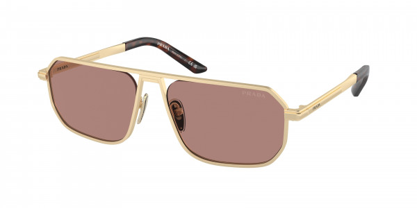 Prada PR A53S Sunglasses, VAF10D MATTE PALE GOLD LIGHT BROWN (GOLD)