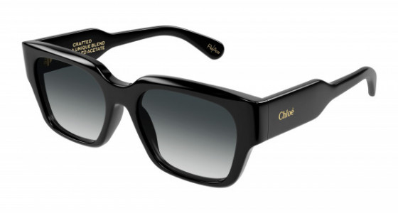Chloé CH0190S Sunglasses, 001 - BLACK with GREY lenses