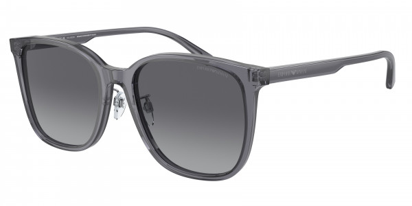 Emporio Armani EA4206D Sunglasses
