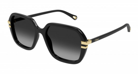 Chloé CH0204S Sunglasses, 001 - BLACK with GREY lenses