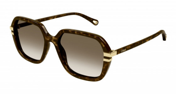 Chloé CH0204S Sunglasses, 002 - HAVANA with BROWN lenses