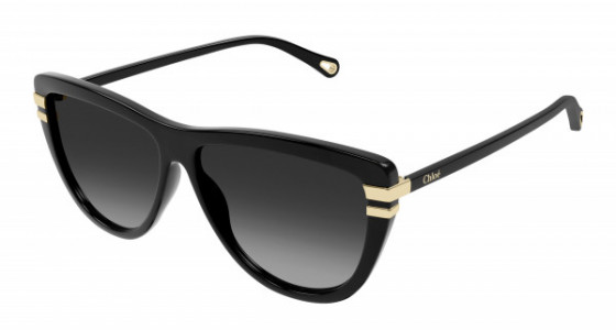 Chloé CH0203S Sunglasses, 001 - BLACK with GREY lenses