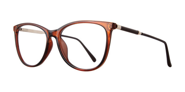 Stylewise SW462 Eyeglasses, Brown