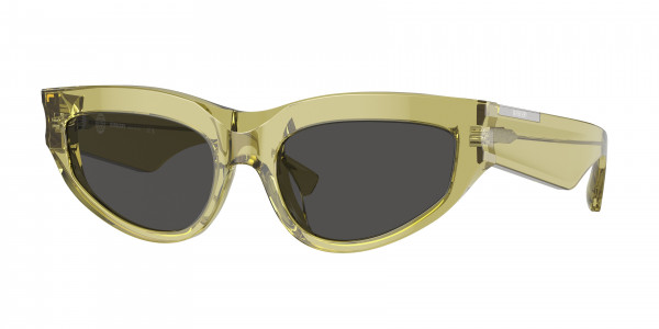 Burberry BE4425U Sunglasses, 411887 GREEN DARK GREY (GREEN)