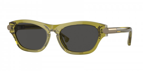 Burberry BE4430U Sunglasses, 411887 GREEN DARK GREY (GREEN)