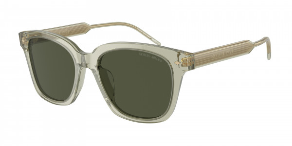 Giorgio Armani AR8210U Sunglasses, 608331 TRASPARENT GREEN GREEN (GREEN)