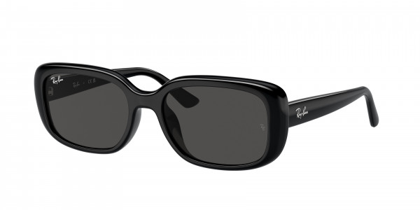 Ray-Ban RB4421D Sunglasses, 667787 BLACK DARK GREY (BLACK)