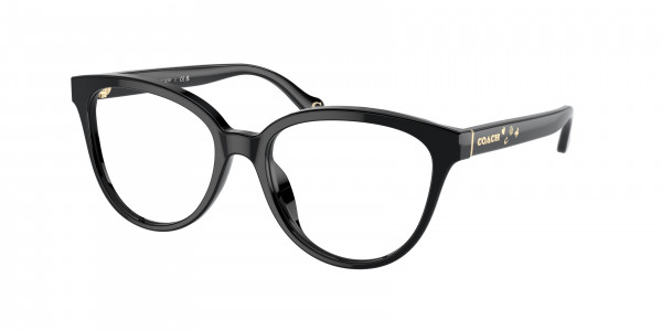 Coach HC6234F Eyeglasses, 5002 BLACK