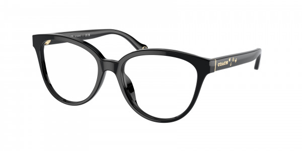 Coach HC6234U Eyeglasses, 5002 BLACK