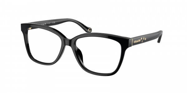 Coach HC6242F Eyeglasses, 5002 BLACK