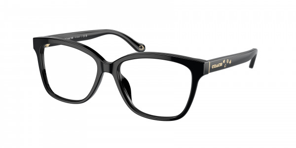 Coach HC6242U Eyeglasses, 5002 BLACK