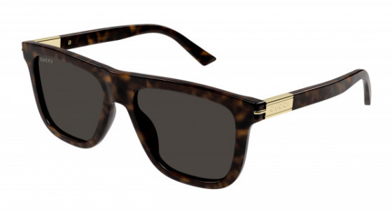 Gucci GG1502S Sunglasses, 002 - HAVANA with BROWN lenses