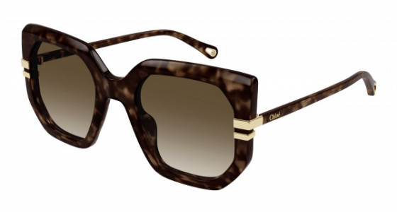 Chloé CH0240S Sunglasses, 002 - HAVANA with BROWN lenses