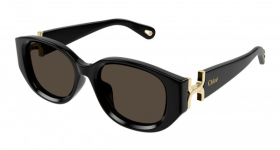 Chloé CH0237SK Sunglasses, 001 - BLACK with BROWN lenses