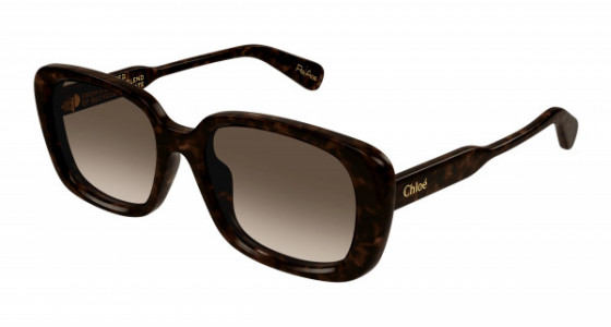 Chloé CH0225SK Sunglasses, 002 - HAVANA with BROWN lenses