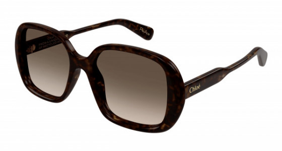 Chloé CH0222S Sunglasses, 002 - HAVANA with BROWN lenses