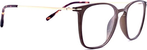 Eyecroxx EC056 NEW Eyeglasses, C2 Shiny Brown Gold