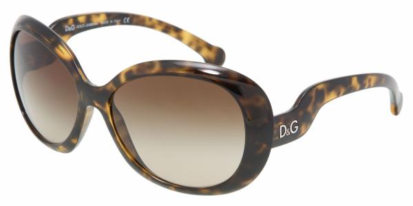 D & G DD8063 Sunglasses
