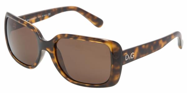 D & G DD8067 Sunglasses