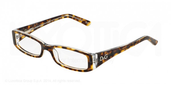 D & G DD1179 INSTITUTIONAL LOGO Eyeglasses, 556 HAVANA ON TRANSPARENT (HAVANA)