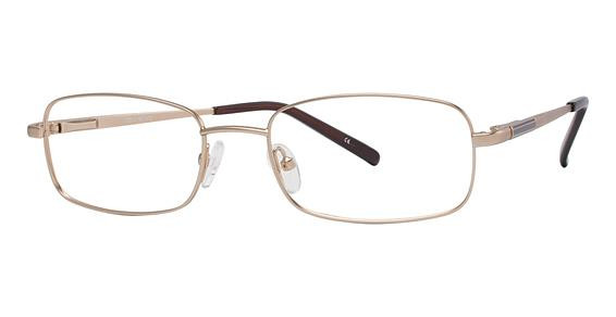 Avalon 5102 Eyeglasses, Gold
