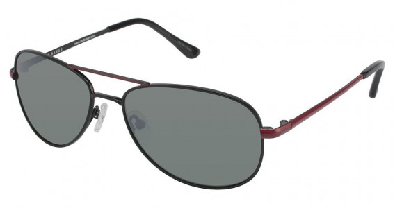 Ted Baker B495 Flyby Sunglasses, BLACK W/POLARIZED LENS (BLP)