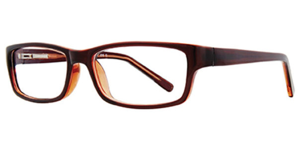 Stylewise SW340 Eyeglasses, Brown