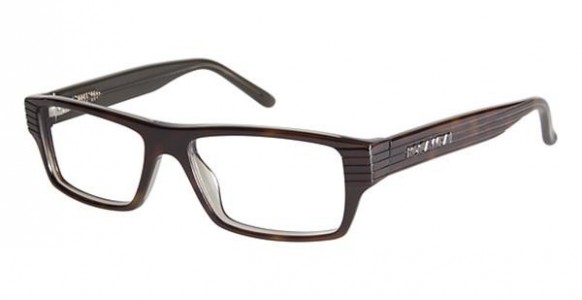 Rocawear R223 Eyeglasses, TSGR Tortoise