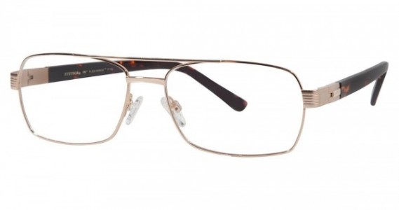 Stetson Stetson 180 F110 Eyeglasses, 057 Shiny Gold