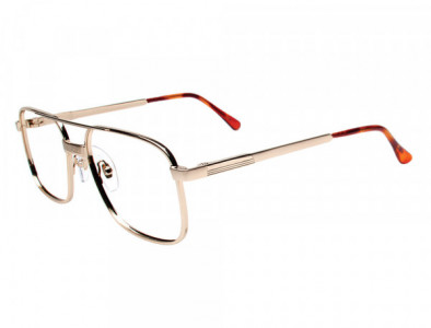 Durango Series PRODUCER Eyeglasses, C-1 Gold