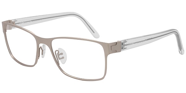 Porsche Design P 8248 Eyeglasses, Silver (B)
