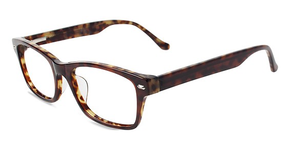 Rembrand S311 Eyeglasses, Brown