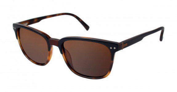 Ted Baker B616 Sunglasses, Black Tortoise (TOR)