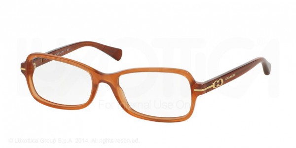 Coach HC6055 LAUREL Eyeglasses, 5251 MILKY SADDLE (ORANGE)