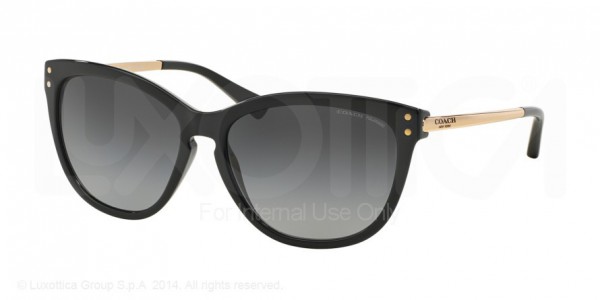 Coach HC8084 L072 CELIA Sunglasses, 5180T3 BLACK/GOLD (BLACK)
