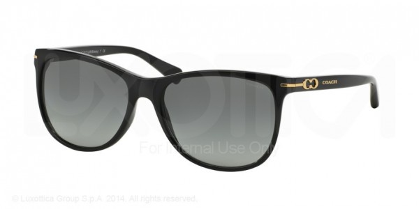 Coach HC8117 L088 BLAKELY Sunglasses, 500211 BLACK (BLACK)