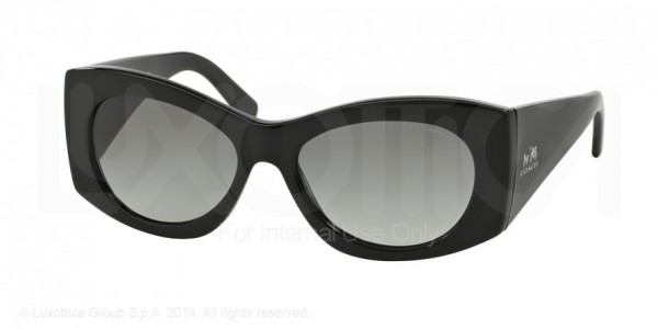 Coach HC8127 L106 CHARLEY Sunglasses, 500211 BLACK (BLACK)