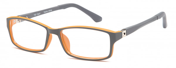 Trendy T 30 Eyeglasses, Grey