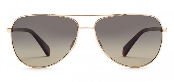 Salt Optics Rex Sunglasses, Brushed Honey Gold