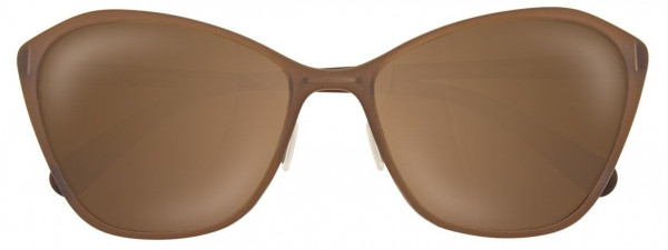BMW Eyewear B6520 Sunglasses, 010 - BROWN